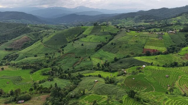 Aerial landscape view of rice terrace in the mountains