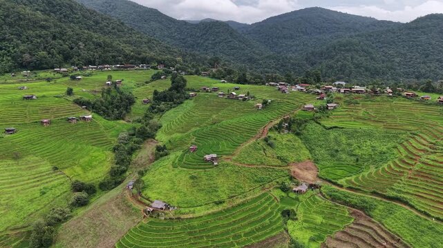 Aerial landscape view of rice terrace in the mountains