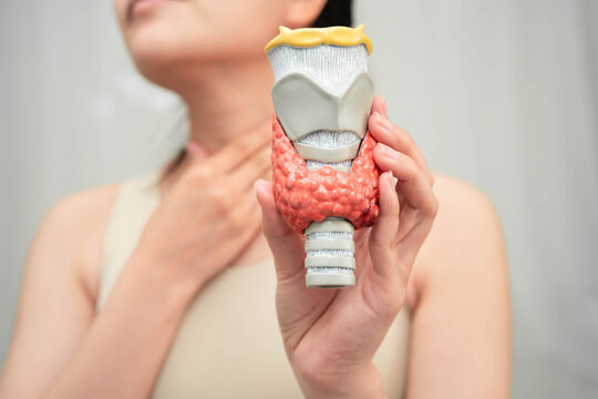 Hyperthyroidism, Overactive Thyroid, Thyroid Lymphoma, Asian woman with thyroid gland human anatomy model.