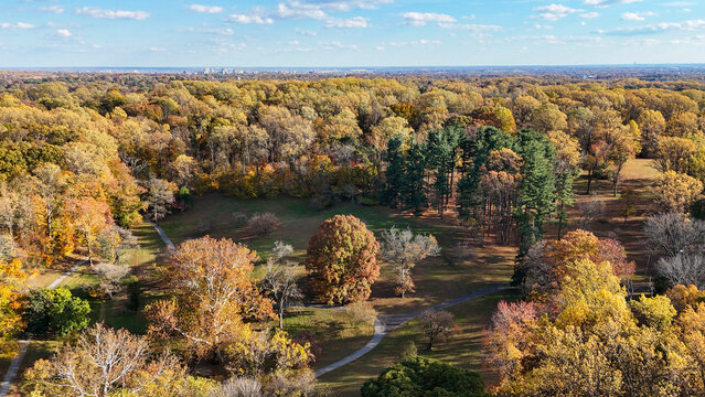 Aerial View of Autumn Foliage at Valley Garden Park in Wilmington, Delaware