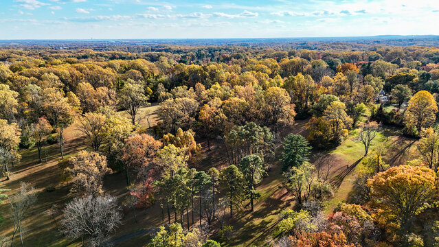 Aerial View of Autumn Foliage at Valley Garden Park in Wilmington, Delaware