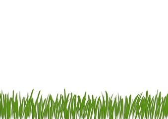 Fototapeta premium A horizontal white background with hand-drawn green grass along the bottom edge.