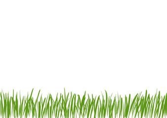 Fototapeta premium A horizontal transparent background with hand-drawn green grass along the bottom edge.