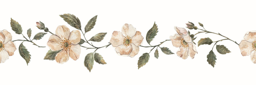 Hand Painted Watercolor Wild Rose Seamless Floral Border