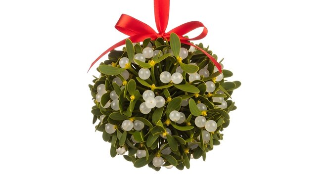 A festive mistletoe ball with white berries and a red ribbon against a clean white background