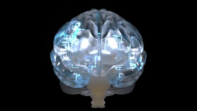 Brain digital color. Neuron connections. Futuristic medical technology concept. Animation on Black background and Green Screen. 3D Render.