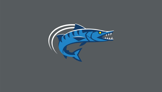 Aggressive blue barracuda fish with sharp teeth swimming fast against a solid gray minimalist background.