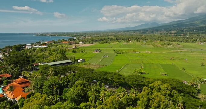 Bali island's natural landscape, northern coastline resort buildings nestled among palm trees with lush green rice fields stretching to distant mountains under a bright sky. Aerial view drone flight