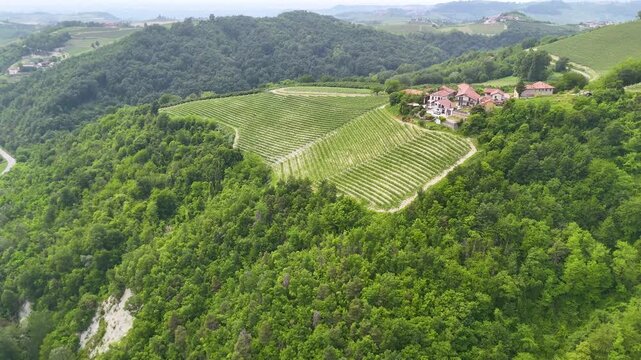 Aerial View of Vineyard and Rolling Hills in Piedmont Italy