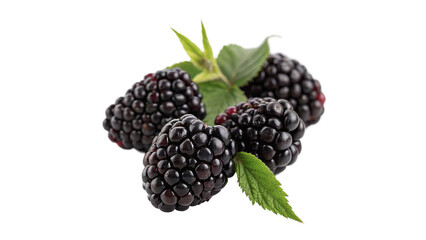 Bunch of fresh sweet black blackberries isolated on transparent background © Brooks