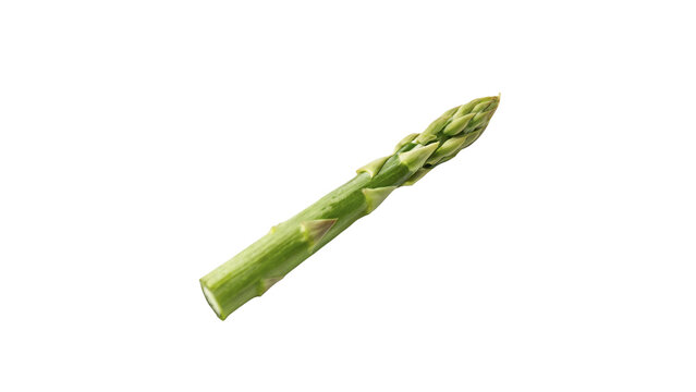 Single fresh green organic asparagus spear isolated on transparent background