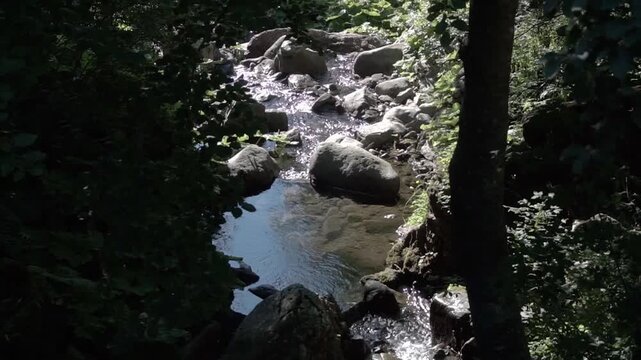Clear mountain stream flowing over smooth rocks through a sunlit beech forest in the Apennines of Emilia-Romagna, Italy.