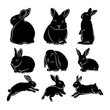 rabbit silhouette bunny hare animal pose set shadow graphic design