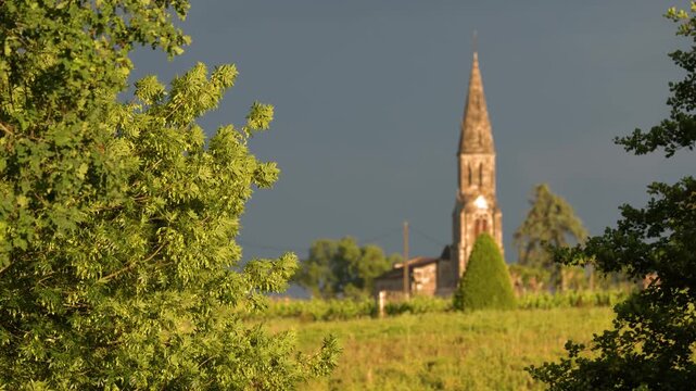 Church Spire in Saint-Emilion Framed by Lush Green Trees