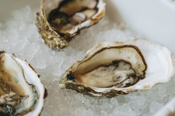 Seafood platter with fresh oysters served on ice in a restaurant setting © fotofabrika