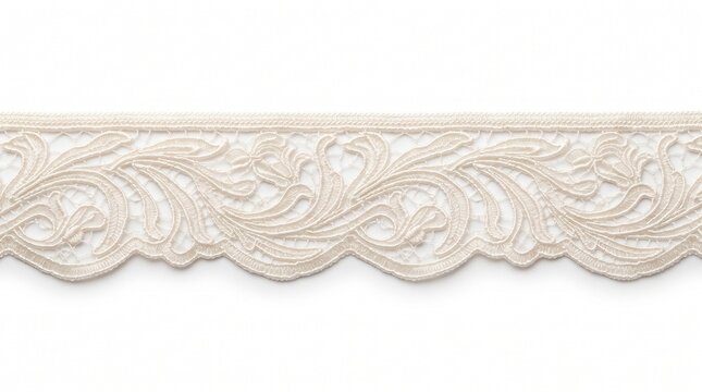 Beige lace trim with botanical embroidery isolated on a white background