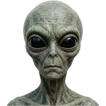 Realistic portrait of a grey extraterrestrial alien head with large black eyes, isolated on transparent background