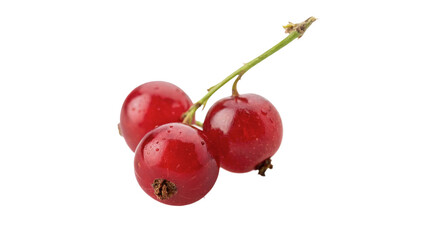 Bunch of fresh red currant berries crop isolated on transparent background © Griffin