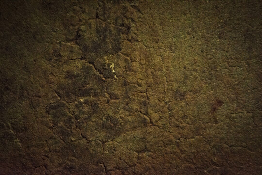 Rough Mossy Earth Wall Texture Background