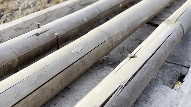 Parallel lines of cracked bamboo poles wood texture background