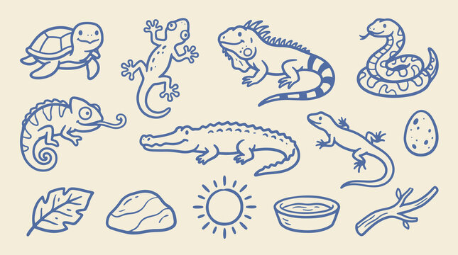 Reptile and amphibian wildlife line icon collection with turtle, chameleon, gecko, water, leaf and rock, hand drawn blue outline vector illustration on warm cream background