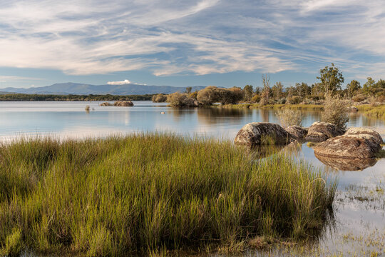 Wetland with reeds, rocks, and various tree species. Valpara&iacute;so Reservoir, Zamora, Castile and Le&oacute;n, Spain.