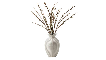 Simple decorative willow willow branch twigs vase isolated on transparent background © RobynRees