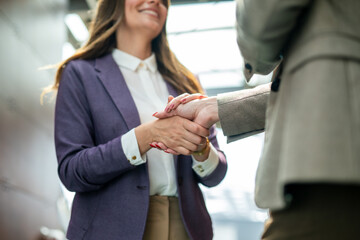 Professional business people shaking hands to finalize a successful corporate partnership deal © SISMIZ