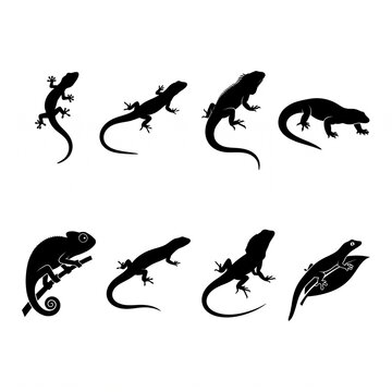 Set of diverse lizard silhouettes featuring chameleons, geckos, and iguanas isolated on white, providing professional vector illustrations for wildlife, nature, and minimalist design concepts.