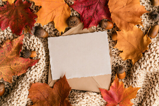 Thanksgiving themed arrangement with autumn leaves, acorns, and a blank card on a knitted fabric surface