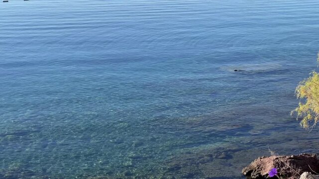 A tranquil panoramic view of Bitez Bay in Turkey, featuring calm blue waters with a line of safety buoys and a hilly island under a clear sky.