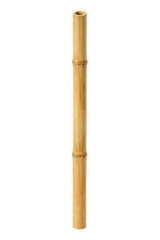 Obraz premium Single natural bamboo stick, light brown and hollow, stands vertically on a clean white background