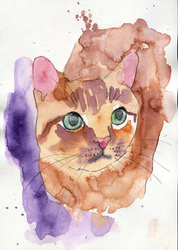 Ritratto artistico ad acquerello di gatto rosso tigrato con grandi occhi verdi, illustrazione espressiva di felino su sfondo con sfumature viola e schizzi di pittura
