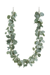 Beautiful eucalyptus garland with round, dusty green leaves hangs gracefully in a U-shape against a clean white background © no one