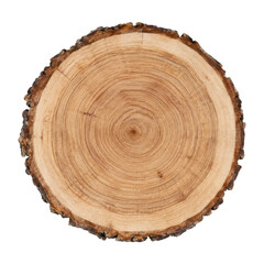 Fototapeta premium Round light brown wooden tree trunk slice with visible growth rings and rough bark isolated on a white background