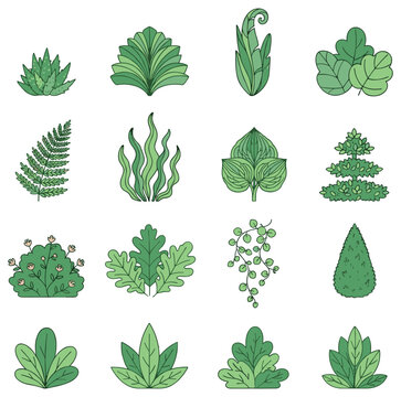 Set of Decorative Green Garden Plant Icons