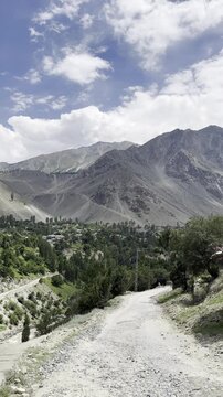 Tari Shing Village sits below barren mountains amid trees and winding roads, Astore, Gilgit-Baltistan, Pakistan