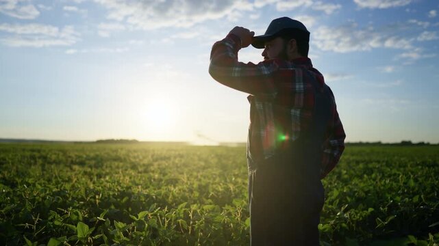 Successful farmer admiring huge green field in summer day, dream of good harvest . Professional agronomist in beautiful cornfield, sustainable agriculture and modern agribusiness, picturesque clouds