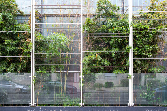 Glass facade with reflections of trees and greenery in Confluence, Lyon, integrating contemporary architecture with urban vegetation.