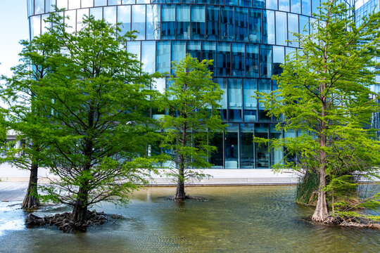 Urban water garden with trees beside office architecture, combining landscaped greenery and reflections within a contemporary business environment.