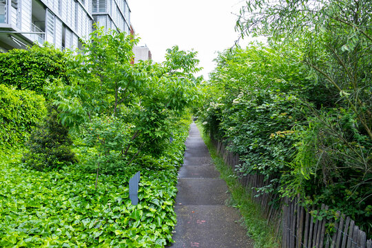 Pedestrian path enclosed by dense urban greenery in Confluence, Lyon, creating a landscaped corridor beside residential buildings.
