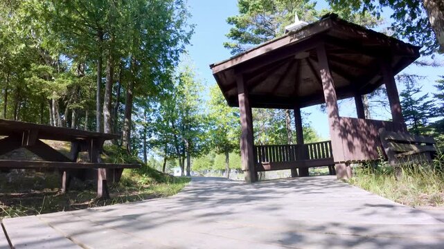 Static footage of a gazebo beside a hiking trail, providing a place for visitors to sit and rest while surrounding trees move gently in the wind. Peaceful outdoor recreation and nature scene suitable