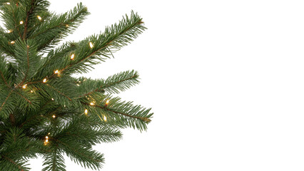 Fluffy green Christmas tree branch with glowing golden fairy lights © Freya