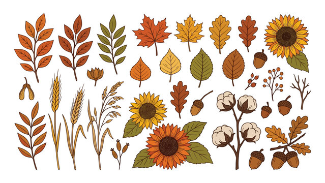 Colorful autumn leaves, seeds, and flowers vector illustration