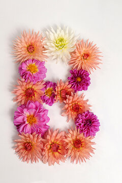 Letter B created from real, fresh dahlia flowers. Floral typography concept, floral font with colorful, vibrant flowers,A unique collection of letters and numbers for design. 