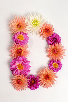 Letter D created from real, fresh dahlia flowers. Floral typography concept, floral font with colorful, vibrant flowers,A unique collection of letters and numbers for design. 