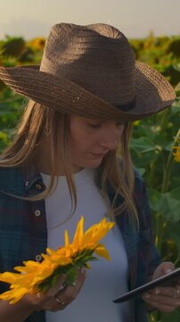Young woman in straw hat thoughtfully examining vibrant sunflower blossoms in a golden field during warm sunset, appreciating nature and peaceful countryside