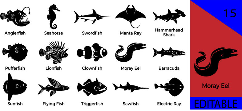 Black tropical marine fish silhouette bundle anglerfish seahorse swordfish manta ray hammerhead shark pufferfish lionfish clownfish moray barracuda editable vector