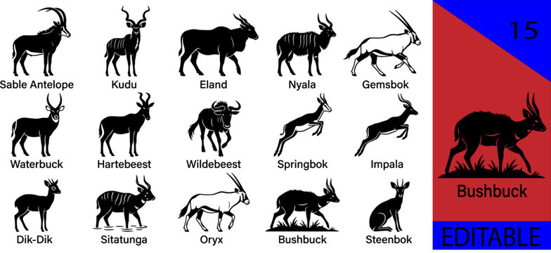 Black african antelope silhouette bundle sable kudu eland nyala gemsbok waterbuck hartebeest wildebeest springbok impala dik-dik oryx bushbuck steenbok editable vector