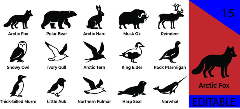 Black arctic polar animals silhouette bundle fox bear hare musk ox reindeer snowy owl gull tern eider seal narwhal editable vector